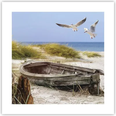 Produktbild von Poster - Poster ohne Rahmen - Strand Möwen £ódŸ - 40x40 cm - Wand Bild - Wanddeko - Wandbilder - Kunstposter - Wandposter - Bilder - Kunstdruck - Wanddekoration - Wandbild - P2XAC40x40-4170