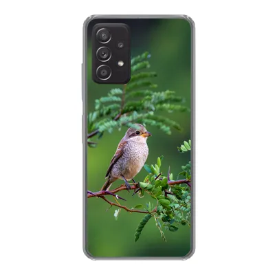 Produktbild von MuchoWow® Handyhülle Schutzhülle Hülle für Samsung Galaxy A53 5G Vogel - Baum - Wald Silikon Softcase Handy Hülle - Schutzabdeckung