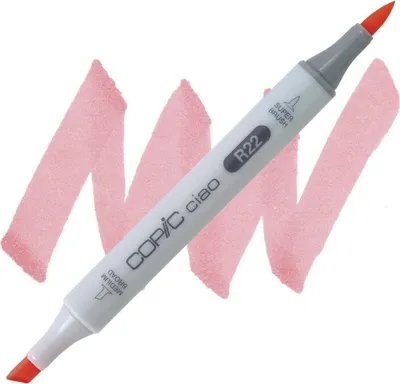 Immagine prodotto di COPIC Ciao pennello e scalpello bifacciale, R22 gambero chiaro