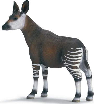 Produktbild von schleich Okapi, 3 Jahr(e), Braun, Weiß, Kunststoff