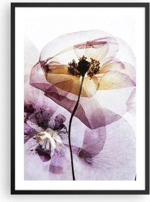 Produktbild von Gerahmtes Poster - Schwarzer Rahmen - blume sommer natur - 50x70 cm - Wand Bild - Wanddeko - Wandbilder - Kunstposter - Wandposter - Bilderrahmen - Bilder - Kunstdruck - Wandbild - P2BPA50x70-3821