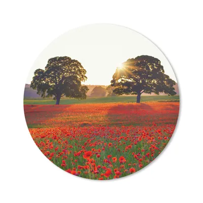 Produktbild von MuchoWow® Mauspad Mousepad Mohnblumen - Blumenfeld - Sonne 40x40 cm - Mousepads - Maus Mat - Pad - Mausunterlage - Schreibtisch Accessoires