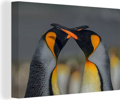 Produktbild von OneMillionCanvasses® - Leinwandbilder - 140x90 cm, Pinguine - Tiere - Liebe, Wandbilder Kunstdruck Wanddekoration