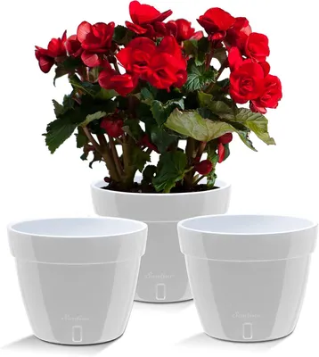 Produktbild von Pflanztöpfe 20 cm, 3er-Set, selbstwässernd, für Zimmerpflanzen