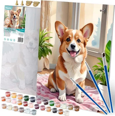 Zdjęcie produktu dla Obraz do malowania po numerach 40x50 cm Massido Piesek Corgi