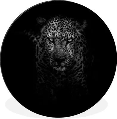 Produktbild von MuchoWow® Aluminium Wandkreis Leopard - Schwarz - Weiß Ø 60 cm Wanddeko Modern Wohnzimmer - Wand Kreis - Wandbild - Schlafzimmer - Aluminium Bild - Kinderzimmer - Wohnzimmer Dekoration - Wandschmuck