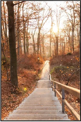 Produktbild von Wallario Wandbild Weg in den Sonnenuntergang, Größe: 61 x 91,50 cm, Poster mit schwarzem Aluminiumrahmen