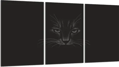 Immagine prodotto di Piastre copri fornelli 3 pezzi 30x52 Vetro copri piano cottura in Vetroceramica, nero gatto