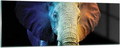 Produktbild von Bilder auf glas - Einteilig - Bunt Elefant Fotografie - 90x30cm - Glasbilder - Wandbilder - Bilder - zum Aufhängen bereit - Wanddekoration aus Glas - Glas Bilder - Wandbild auf Glas - GAB90x30-4768