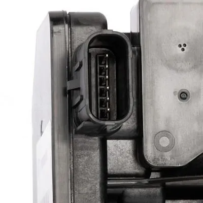 Image de Pal Pumps.