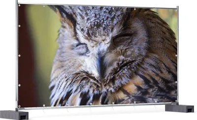 Produktbild von Wallario XXL Outdoor-Poster für Garten oder Balkon, Motiv Schlafender Uhu, in ca. 340 x 173 cm