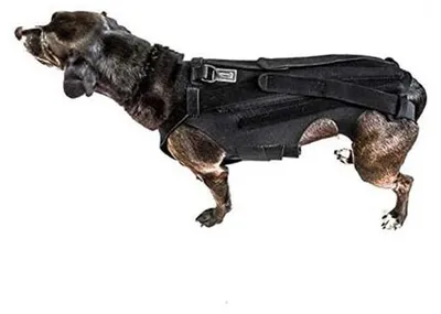 Immagine prodotto di Supporto lombare regolabile per cani - Supporto per cani con IVDD - Protezione della schiena e sollievo dal dolore - Supporto per la colonna vertebrale - Riabilitazione post-operatoria - Prevenzione delle malattie della schiena