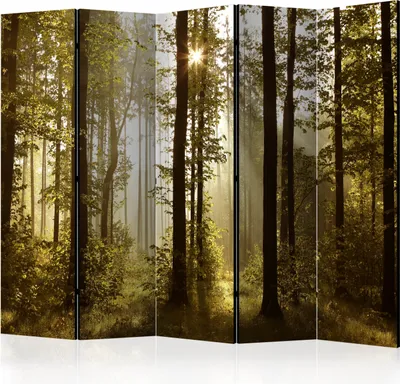 Zdjęcie produktu dla Akustyczna ścianka działowa leśny ekran fotograficzny 225x172 cm drukowany po obu stronach na włókninie Akustyczna piankowa ścianka działowa hiszpańska ściana ekran prywatności domowe biuro drzewa natura botanika słońce c-B-0254-z-c