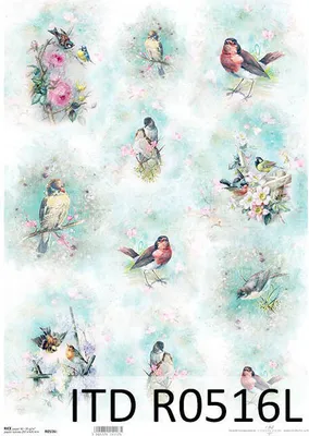 Immagine prodotto di Carta di riso per decoupage A3 ITD-0516L Uccelli