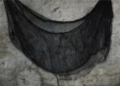 Produktbild von Schwarzes Halloween-Spinnennetz 76x228cm