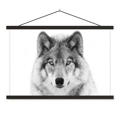 Produktbild von MuchoWow® Textilposter Wolf - Tiere - Porträt - Weiß 150x100 cm mit schwarzem Rahmen - Schlafzimmer