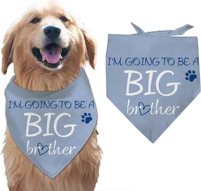 Imagen del producto de Pañuelo triangular para perros, de algodón, 1 unidad, con estampado
