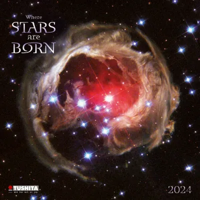 Produktbild von Where Stars are Born 2024