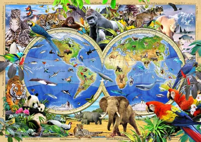Produktbild von Holzpuzzle WoodenCity Tiere der Welt 600 Teile doppelseitig
