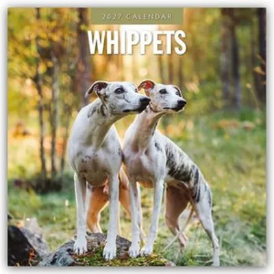 Immagine prodotto di Whippets - Calendario bimestrale 2027 (16 mesi)