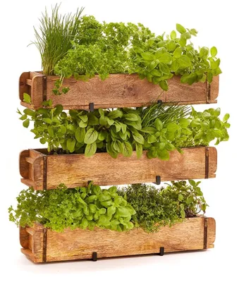 Produktbild von Solidchoice – Set aus 3 Pflanzgefäßen mit Ständer für Kräuter und Pflanzen