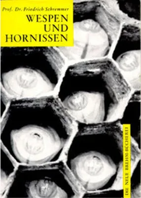 Obrázek produktu pro Wespen und Hornissen