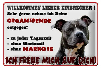 Produktbild von Blechschild Hinweis 30x20cm Hund Willkommen Einbrecher