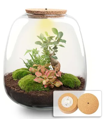 Produktbild von - 25 cm - Ø23cm
