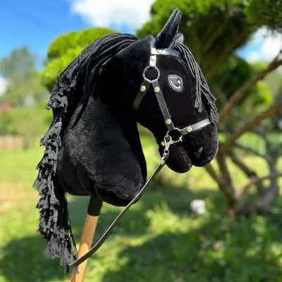 Productafbeelding van Hobby Horse, zwart, Fries model - Formaat A3
