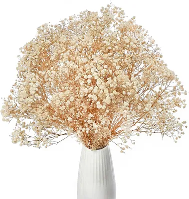 Imagen del producto de Giprocras, flores blancas naturales, 43 cm, para decoración