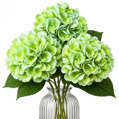 Produktbild von G.blümt Künstliche Hortensien 64 cm lang, Kunstblumen Real Touch wie echt, Grün 3 Stück