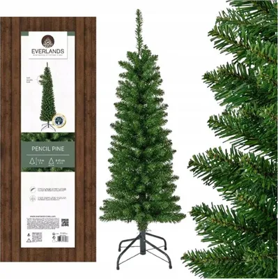 Zdjęcie produktu dla Choinka ołówkowa sosna h150 cm bardzo wąska zielona