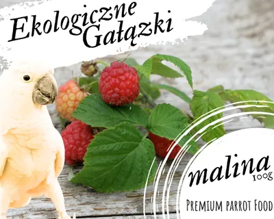 Image de Branches de FramboisesPour Perroquets - Friandises Premium, Nutriments Naturels 100G