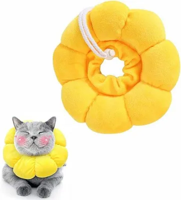 Produktbild von Kattenhalsband zonnebloem design verstelbaar postoperatief