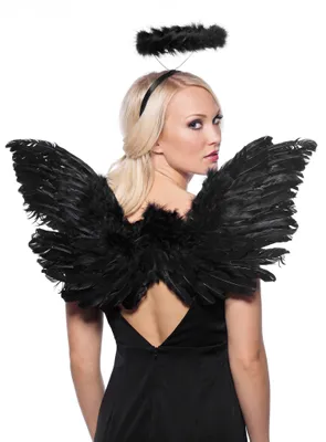 Image de Kit d'accessoires pour les anges