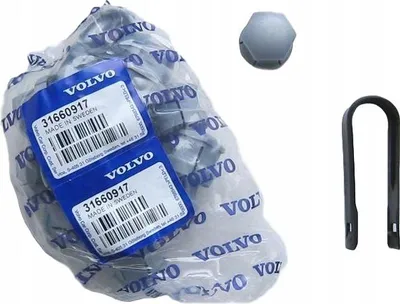 Produktbild von VOLVO Felgenschraubenkappen, chrom matt kpl, Neu & Original vom autorisierten Händler
