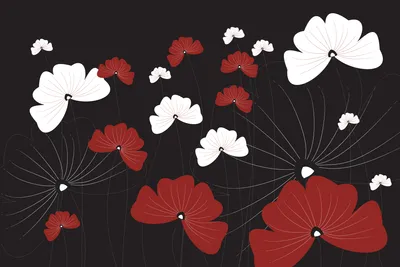 Produktbild von Fototapete - Flowers on Black 375x250cm - Vliestapete