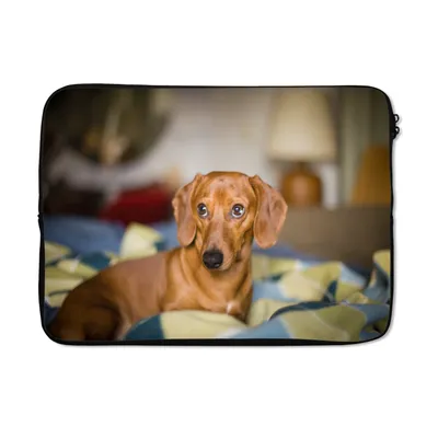 Produktbild von MuchoWow® Laptop Hülle 13 Zoll Dackel liegend auf einem Bett Laptoptasche - Laptophülle - Sleeve - Rundumschutz