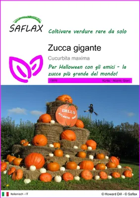 Immagine prodotto di SAFLAX  - Zucca gigante  - 7 semi - Cucurbita