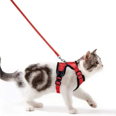 Image de Harnais pour chat Ibenzoa® – Harnais de sécurité réglable avec bandes réfléchissantes, rouge, taille S, léger et robuste, idéal pour les petits chats