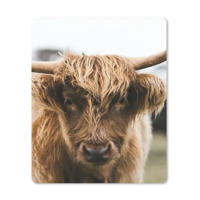 Produktbild von MuchoWow® Mauspad Mousepad Schottischer Highlander - Kuh - Gras - Tiere - Natur 30x40 cm - Mousepads - Maus Mat - Pad - Mausunterlage - Mausmatten