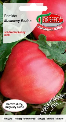 Produktbild von Seeds of Rodeo Himbeere gemahlene Tomate 0.2g - Torseed
