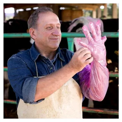 Produktbild von Veterinärbesamungshandschuhe, lange Armhandschuhe - 85 cm, 50 Stück