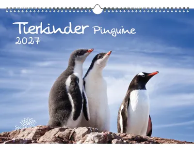 Produktbild von Tierkinder Pinguine DIN A3 Kalender für 2027 Pinguin - Seelenzauber