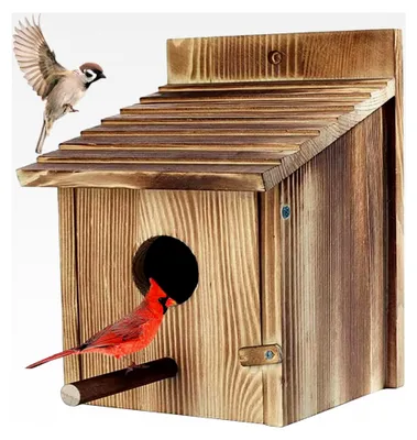 Produktbild von Vogelhaus für den Außenbereich aus Holz mit Standstange und Wandmontage für Garten und Hof