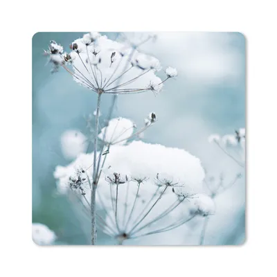 Produktbild von MuchoWow® Mauspad Mousepad Schnee - Blumen - Winter - Zweige 30x30 cm - Mousepads - Maus Mat - Pad - Mausunterlage - Gaming
