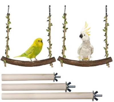 Immagine prodotto di Set di 5 giocattoli per parrocchetti ondulati, realizzati in legno naturale: altalena, posatoi (altezza 10-20 cm)