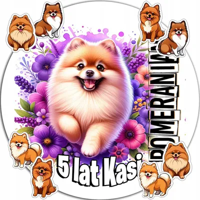 Immagine prodotto di Decorazioni per torte 20 cm – Cani: Spitz nano, compleanno + nome 15 cm, 18 cm