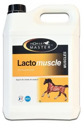 Produktbild von Laktomuskel - Pferdemeister