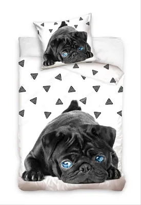 Produktbild von Mops-Welpe - Hunde-Bettwäsche-Set mit Wendemotiv, 135x200 & 80x80